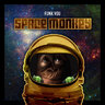 SpaceMNKS